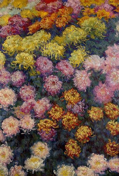 Bed of Chrysanthemums - 1897