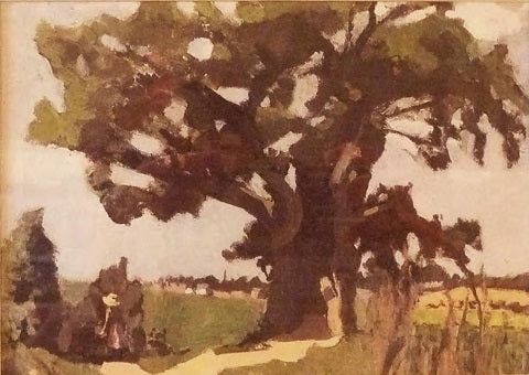 Bohain snek Oak 1903