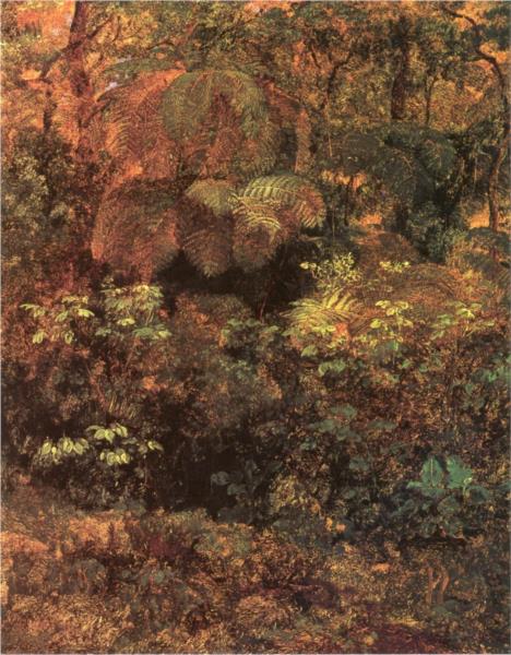 Bosque De Pacho - 1875