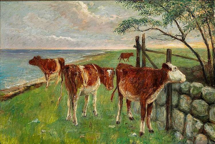 Cattle near a door - Saltholm