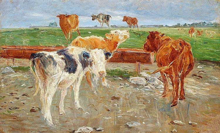 Cows near the Gammelgaard well - Saltholm - 1901