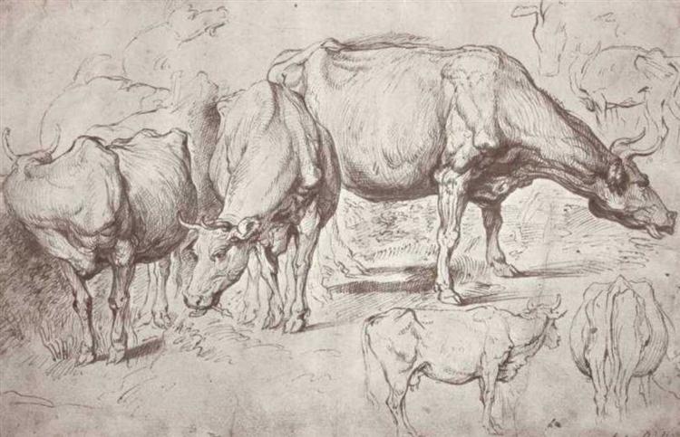 Cows - 1620