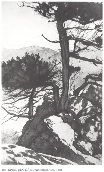 克里米亚。 Viejo Juniper -1918