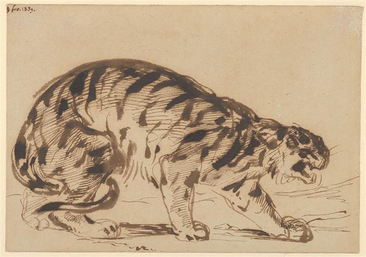 Tigre Agachado - 1839