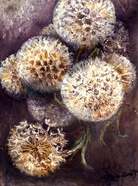 Dandelions - 1900