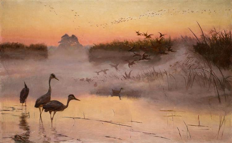 Sunrise. The kingdom of birds - 1906