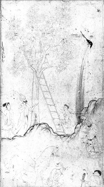 Shah Tahmasp En Una Casa En El Árbol - 1530