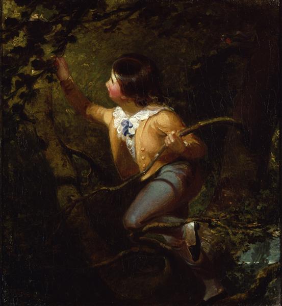 Bird nesting - 1837