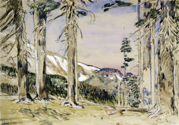 Fin De Timberline - Monte Hood - 1904