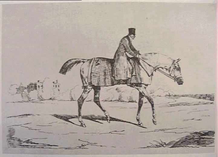 Rider anglais - 1820