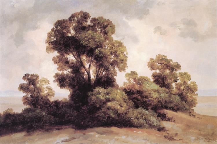 Tree study - 1907