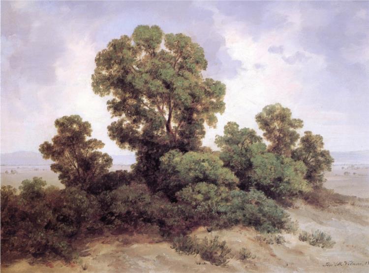 Tree study - 1908