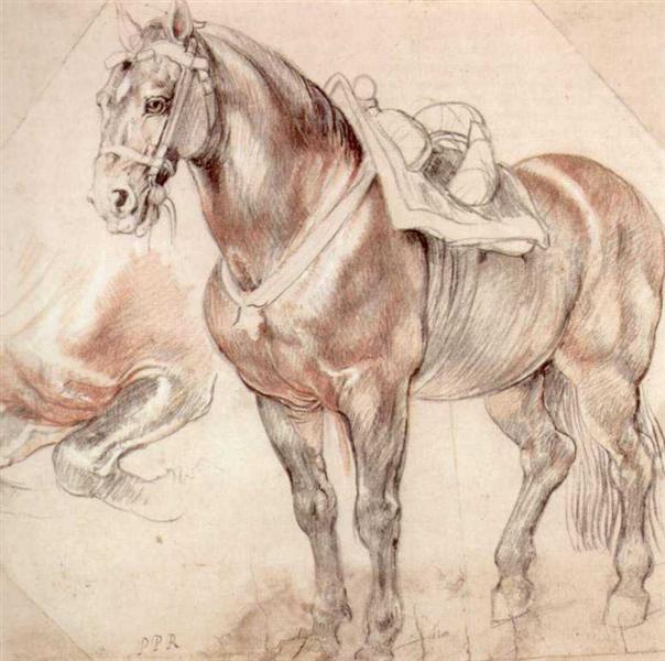 Estudo de cavalos - 1620