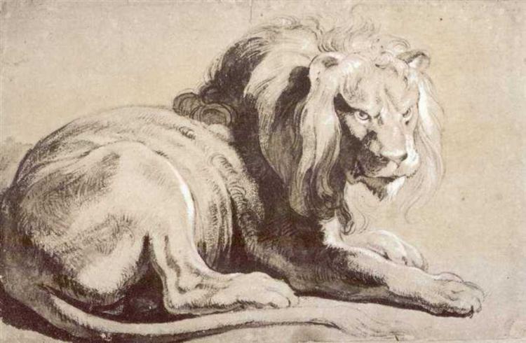 Étude d'un lion - 1620