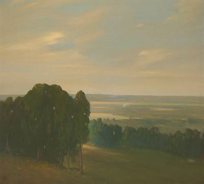 Eukalyptuswald in einer riesigen Landschaft