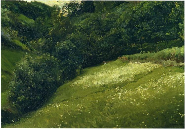 Field in Asturias - 1903