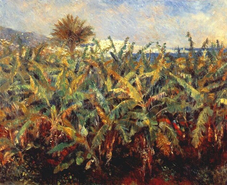 Bananas Field - 1881