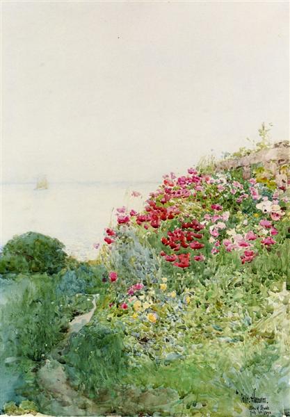 Poppy Field - Isole Shaos - Applerore - 1890