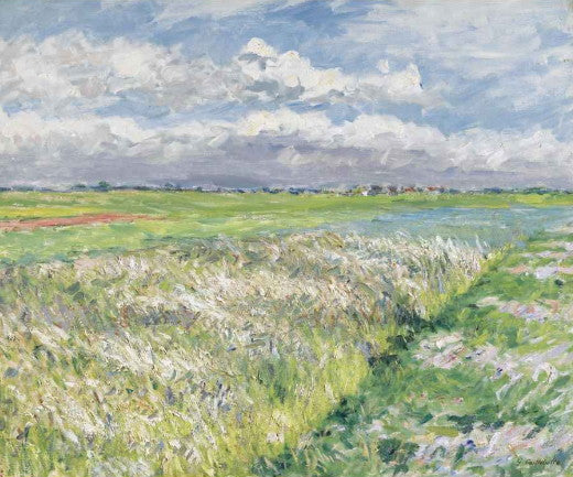 Campos - Llanura De Gennevilliers - 1884