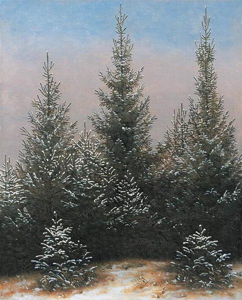 Snow firs - 1828