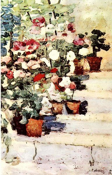 Blumen auf der Treppe