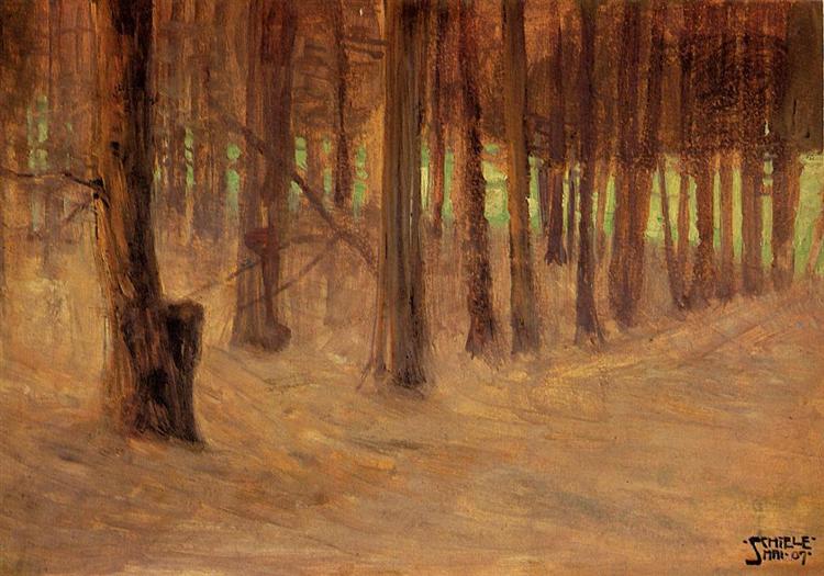 Foresta con una luce illuminata dal fondo - 1907