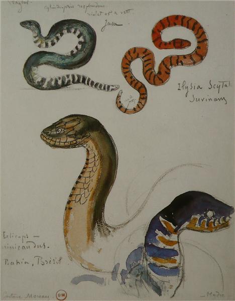 Quatre études de serpent.