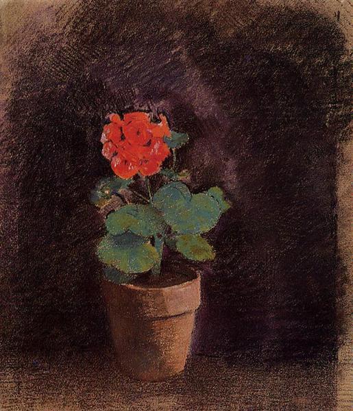 Pelargonia