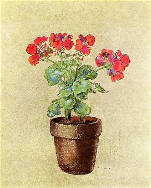 Geranium - 1902