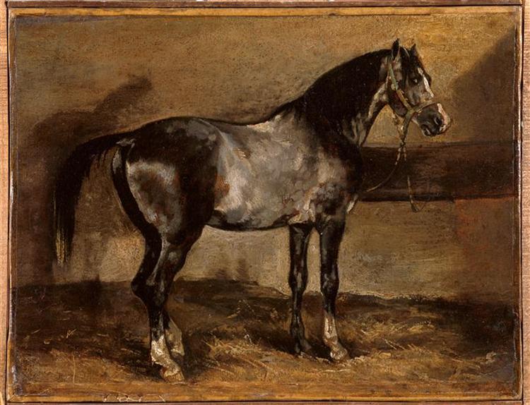 Chevaux gris