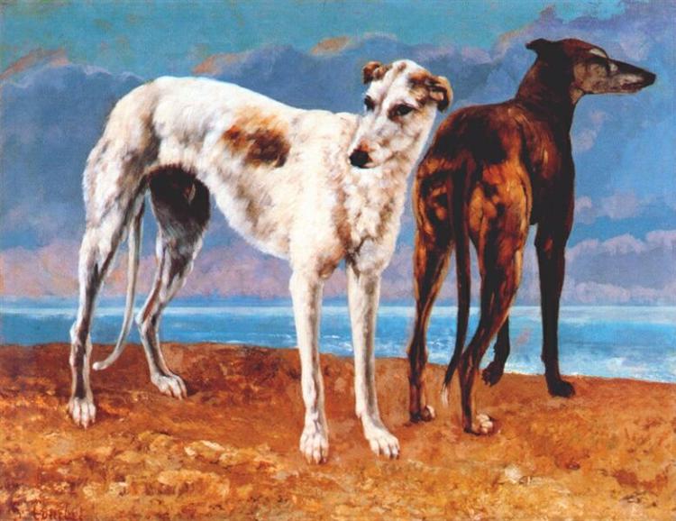 Galgos Del Conde De Choiseul - 1866