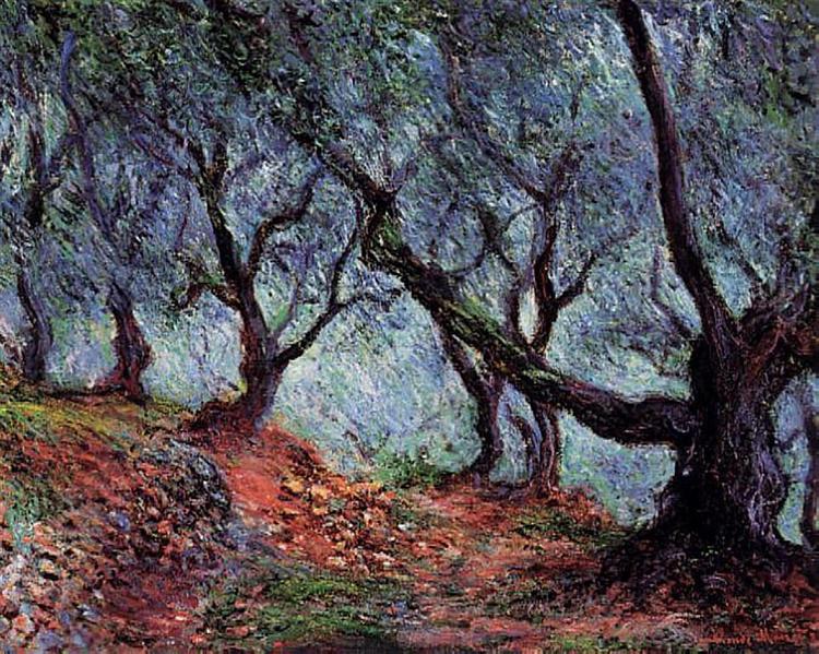 Olive Bosque at Bordighera - 1884