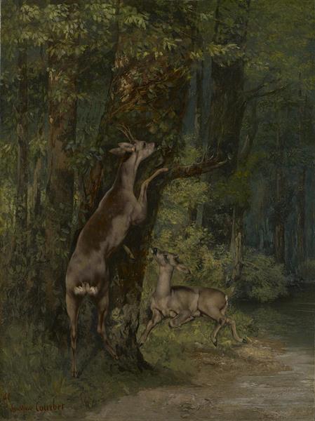 Deer in the forest