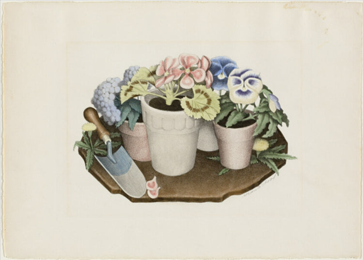 Domesticed Flowers - 1939