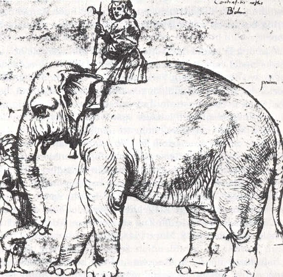 Hanno - Der Elefant Leo X des Papstes - 1516