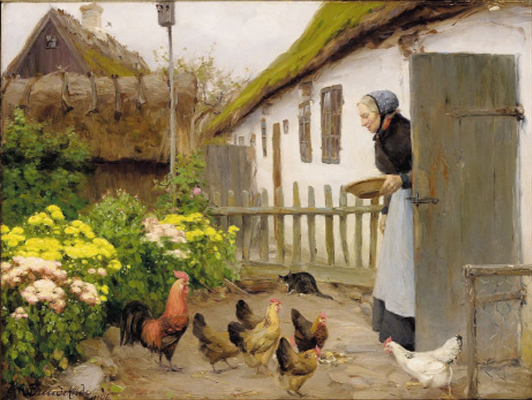 The chickens are fed - 1906