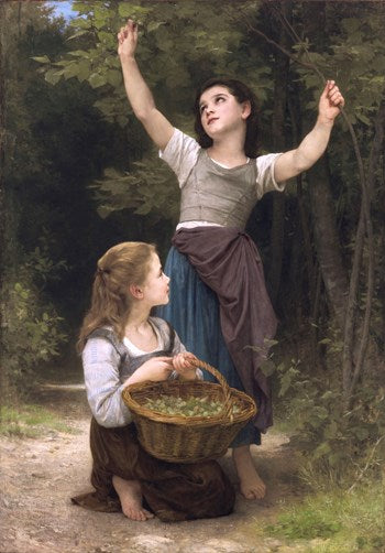 Récolte de noisette - 1883