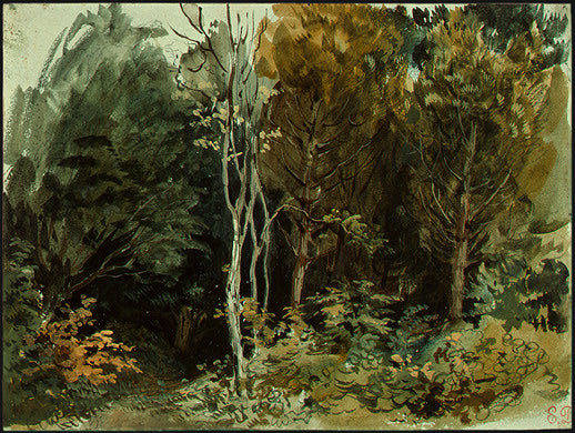 The Edge of a Forest in Nohant - 1843