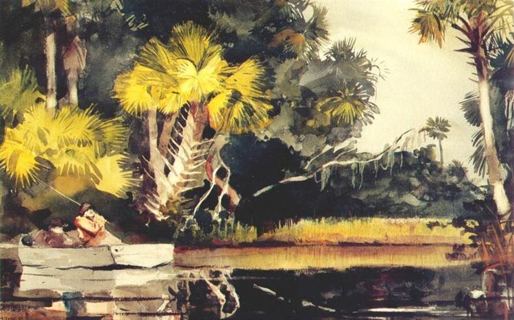 Homosassa jungle (Florida) - 1904