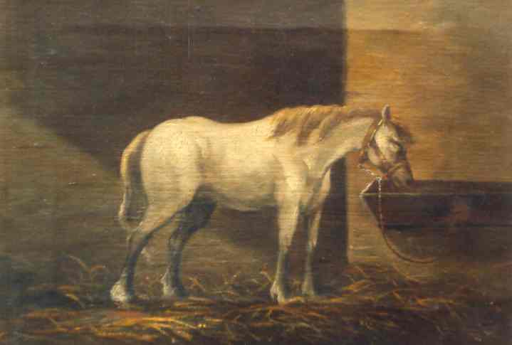 Horse