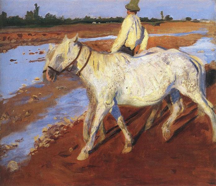 Horses - 1899