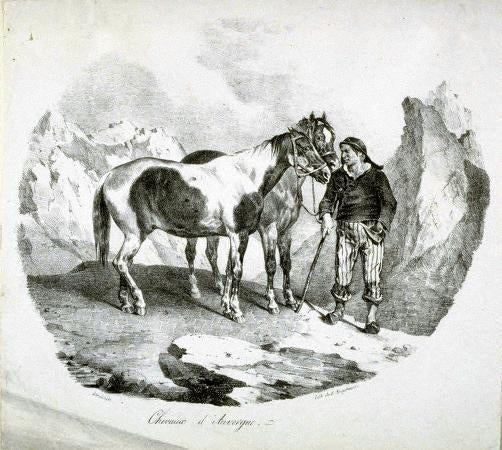 Auvernia Horses -1822