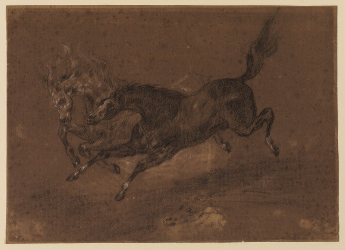 Horses running