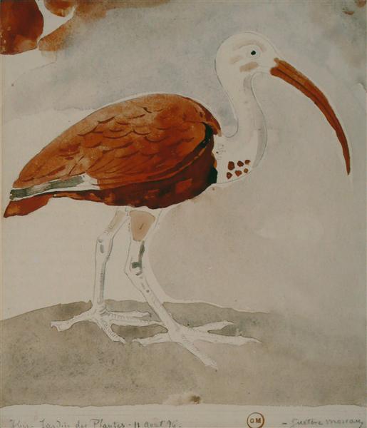 IBIS - 1876