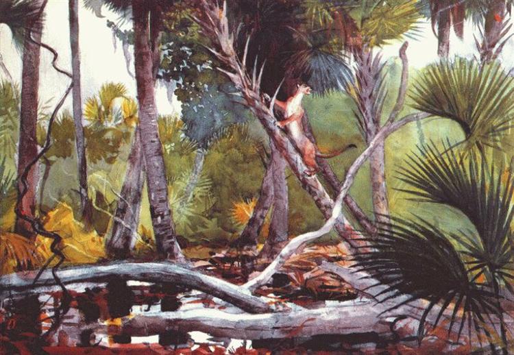 En La Selva - Florida - 1904