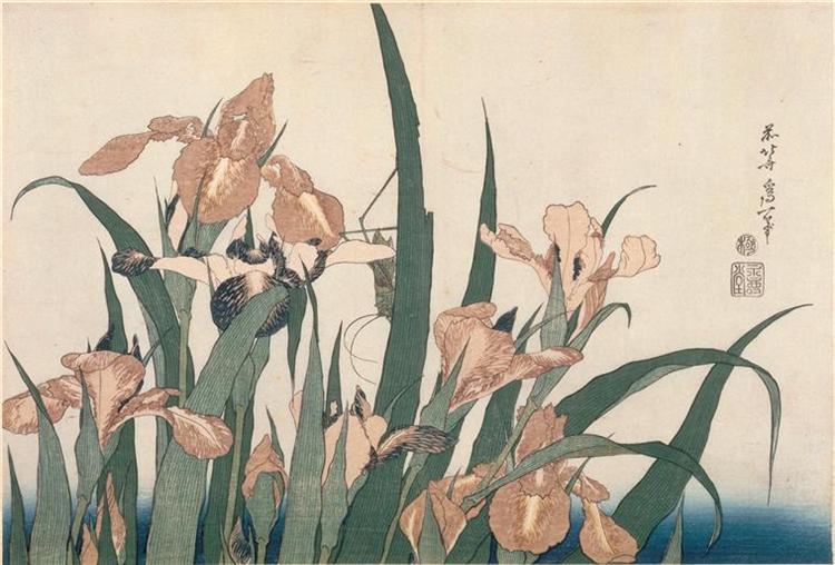 Iris et sauterelle