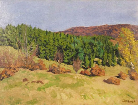 Izvora im Herbst - 1909