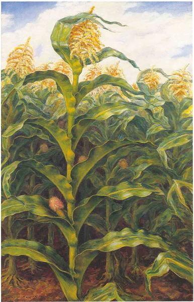 Kansas corn field - 1933