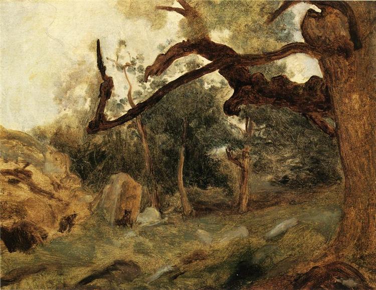 L Arbre Tordu - Les Chenes du Mont użytkowa - Fontainebleau - 1855