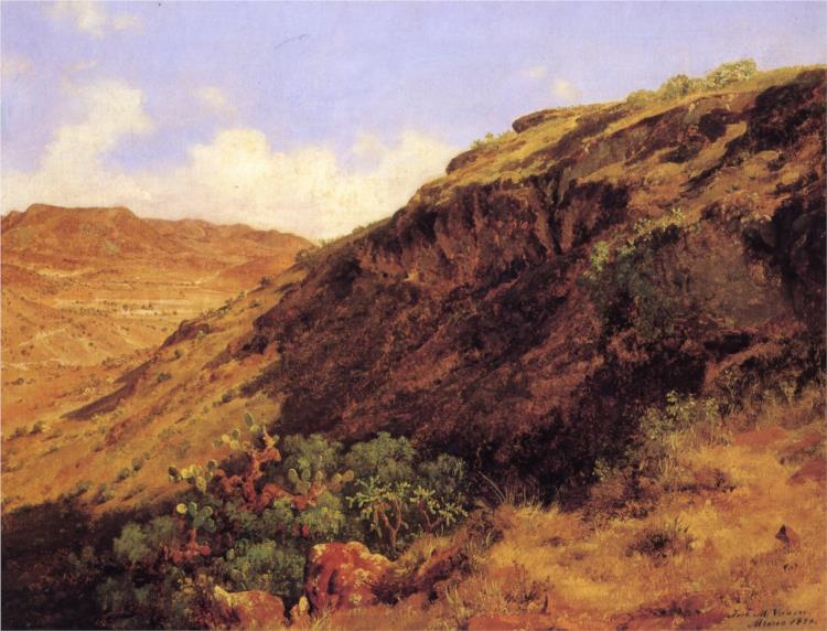 Westliche Steigung von Cerro de Guerrero - 1876